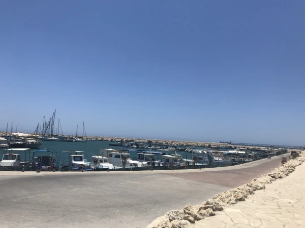 Zygi port