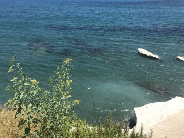 Governors beach