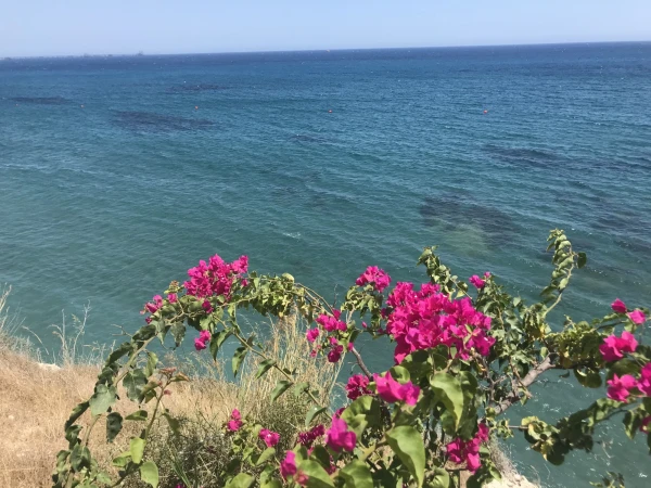 Governors beach