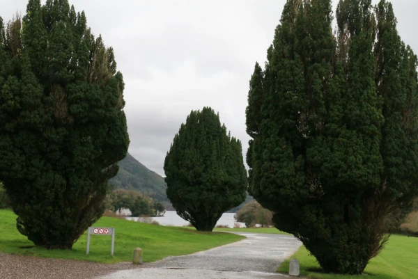 Muckross House