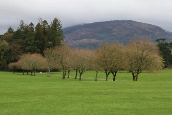 Muckross House