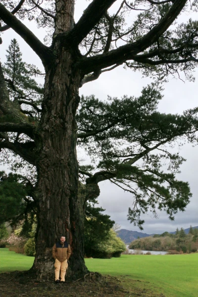 Muckross House