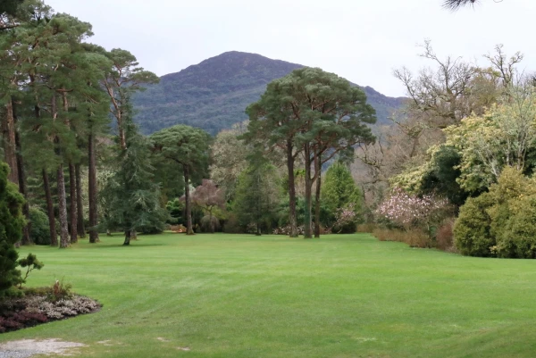 Muckross House