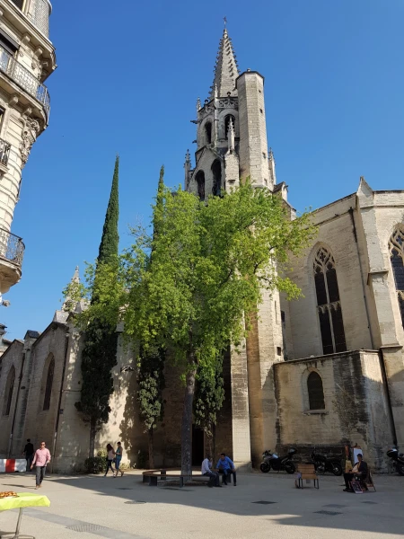 Церковь Святого Петра (Basilique Saint-Pierre d’Avignon)