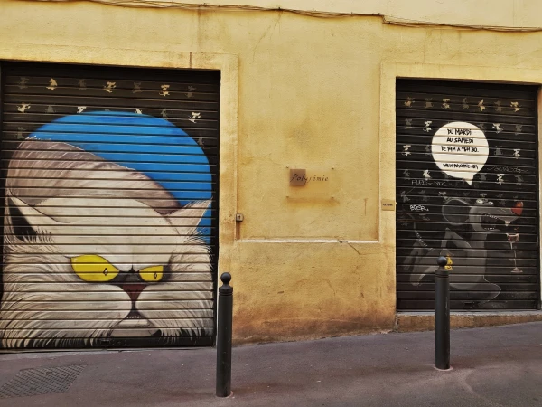 Rue de la Cathedrale украшают забавные граффити