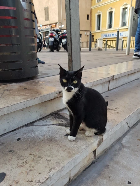 КотЭ