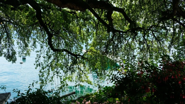 Прогулки по Набережной цветов (Quai des Fleurs)