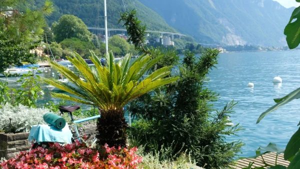 Прогулки по Набережной цветов (Quai des Fleurs). Ощущение, будто ты в тропиках находишься