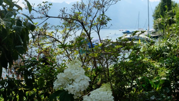 Прогулки по Набережной цветов (Quai des Fleurs)