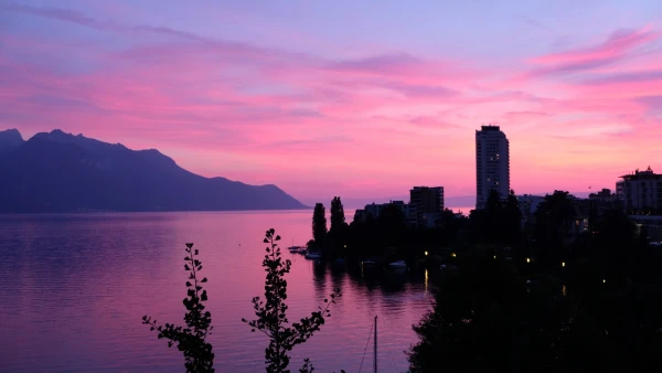 La Vie en Rose!