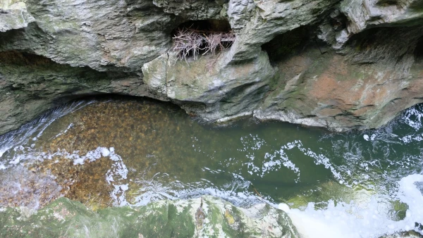 Ущелье реки Фьер (Gorges du Fier)