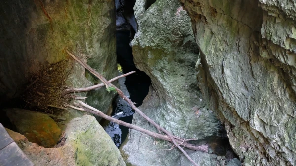 Ущелье реки Фьер (Gorges du Fier)