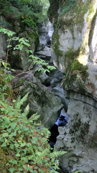Ущелье реки Фьер (Gorges du Fier)