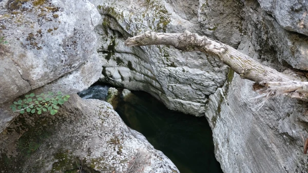 Ущелье реки Фьер (Gorges du Fier)