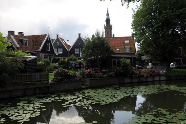 Картинки Эдама