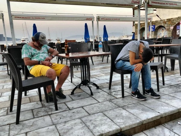 Совы