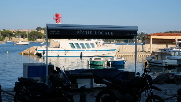 Лавочка перед отелем, где по утрам рыбаки продают свежевыловленную рыбу