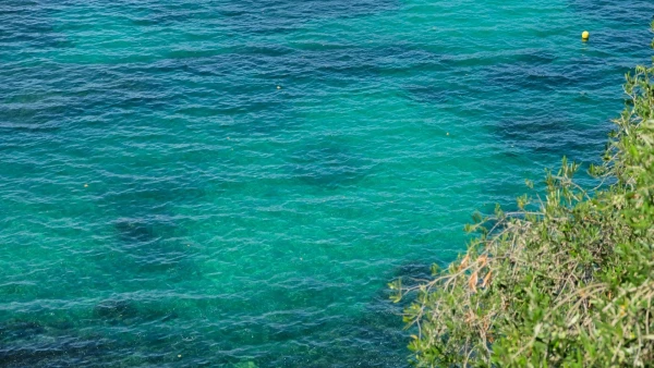 Водичка у Кап Ферра