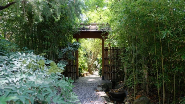 Кап Ферра. Вилла Эфрусси де Ротшильд. Японский сад