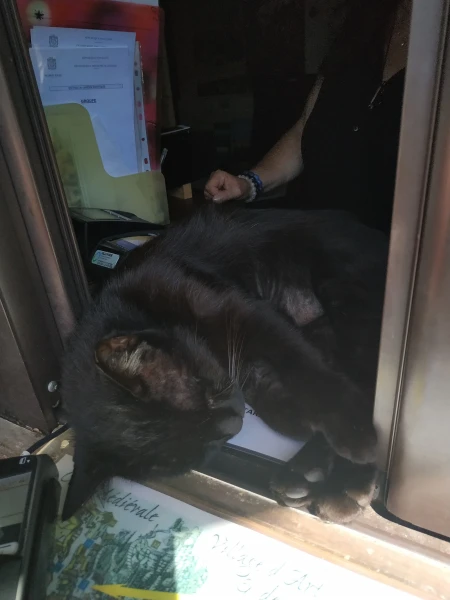 Такой вот кассир в ухода в Экзотический сад