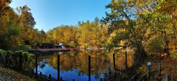 Lacul Alunis (озеро Фундук)