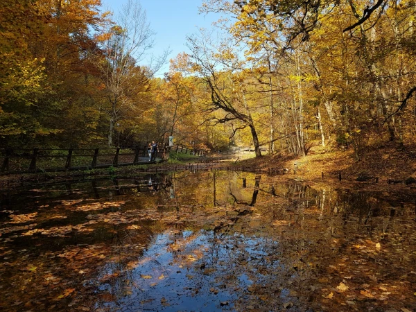Lacul Verde (Зелёное озеро), Совата