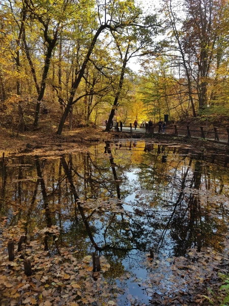 Lacul Verde (Зелёное озеро), Совата