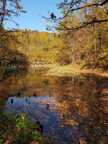 Lacul Verde (Зелёное озеро), Совата