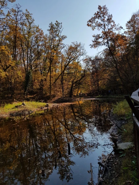 Lacul Rosu (Красное озеро), Совата