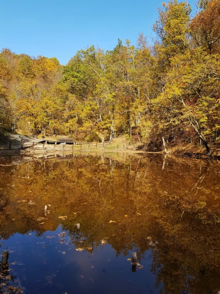 Lacul Rosu (Красное озеро), Совата