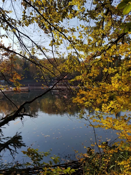 Медвежье озеро (Ursu), Sovata