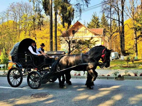 В Совате