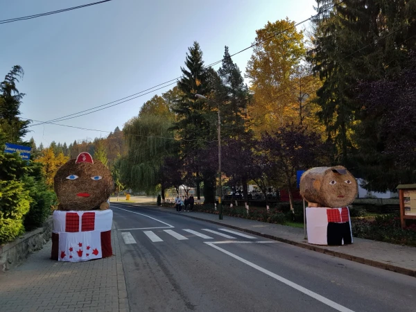В Совате