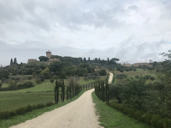 Винодельня Palazzo Massaini