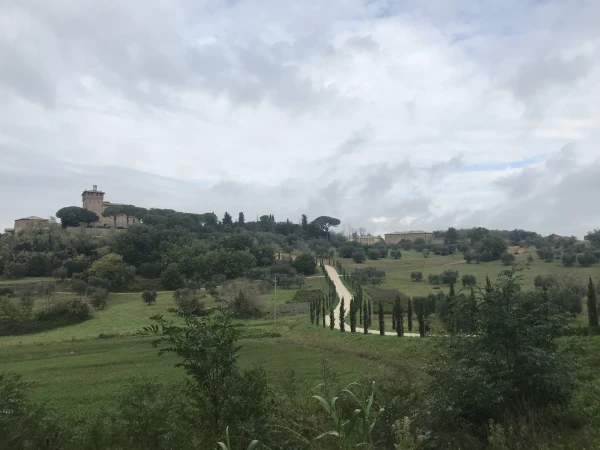 Винодельня Palazzo Massaini