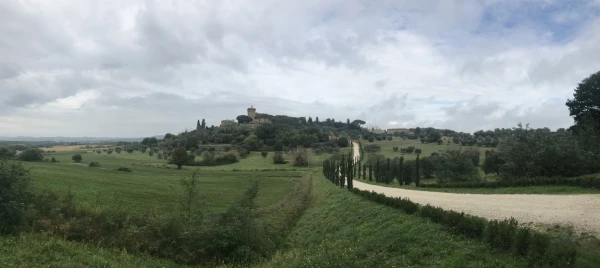 Винодельня Palazzo Massaini