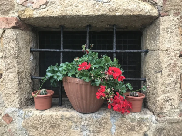 Pienza