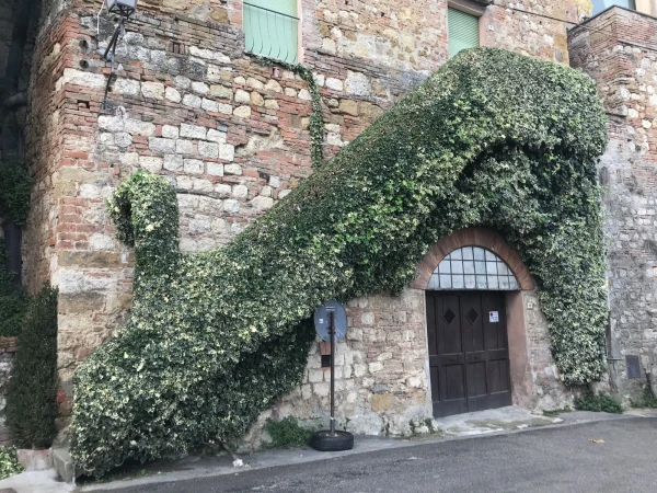 Montepulciano