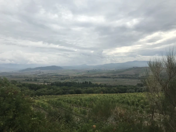 Montalcino