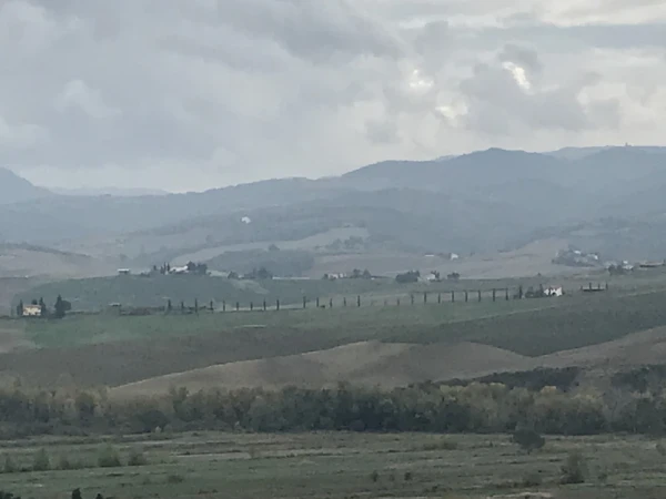 Montalcino