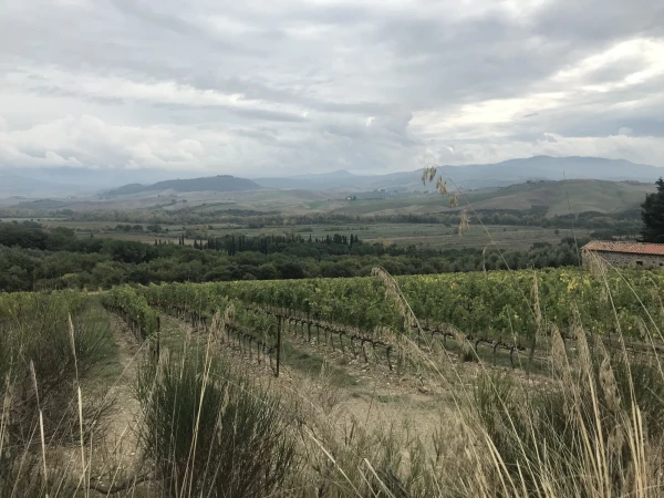 Montalcino