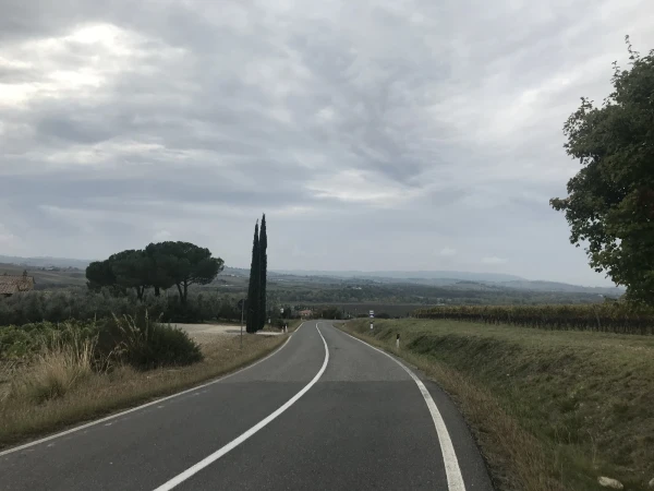 Montalcino
