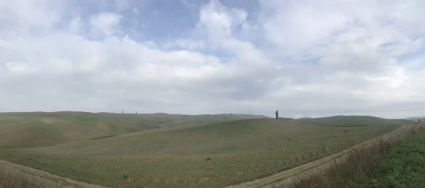 Montalcino