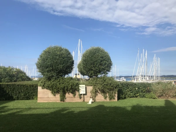 Baia di Scarlino Marina