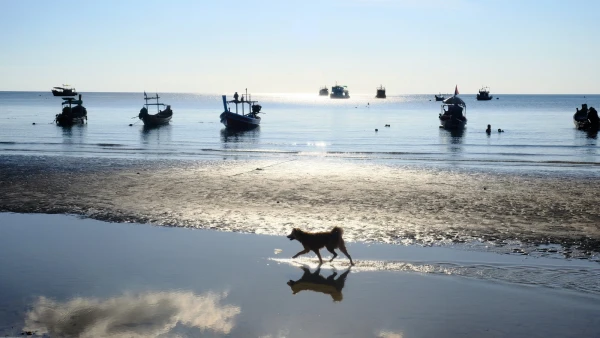Пляж Сайри Бич (Sairee Beach)