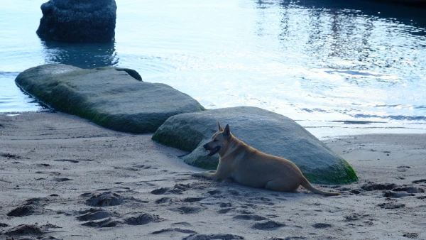 Пляж Сайри Бич (Sairee Beach)