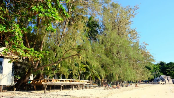 Пляж Сайри Бич (Sairee Beach)