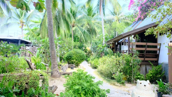 Отель Nang Yuan Resort