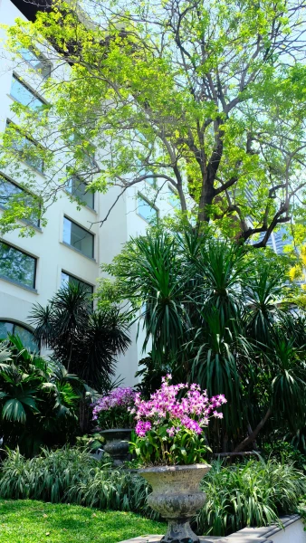 Наш отель Anantara Siam