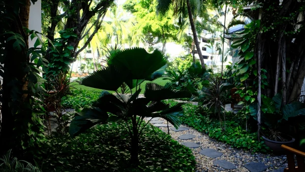 Вообще отель Anantara Siam - это кусочек джунглей в центре Бангкока, удивительное место